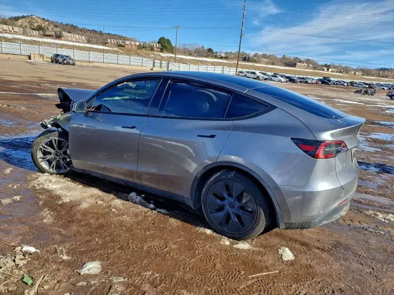 2025 TESLA MODEL Y   