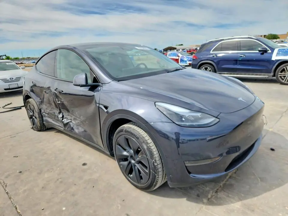 2025 TESLA MODEL Y   