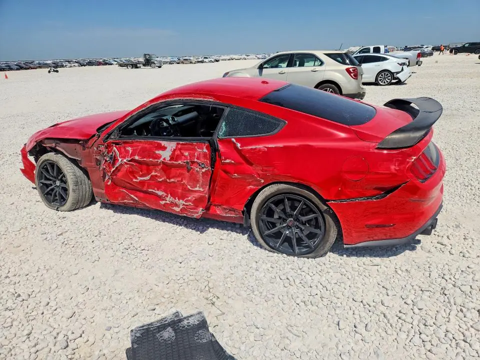 2019 FORD MUSTANG GT  