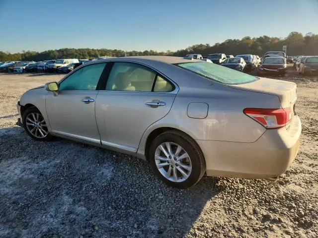 2010 LEXUS ES 350  