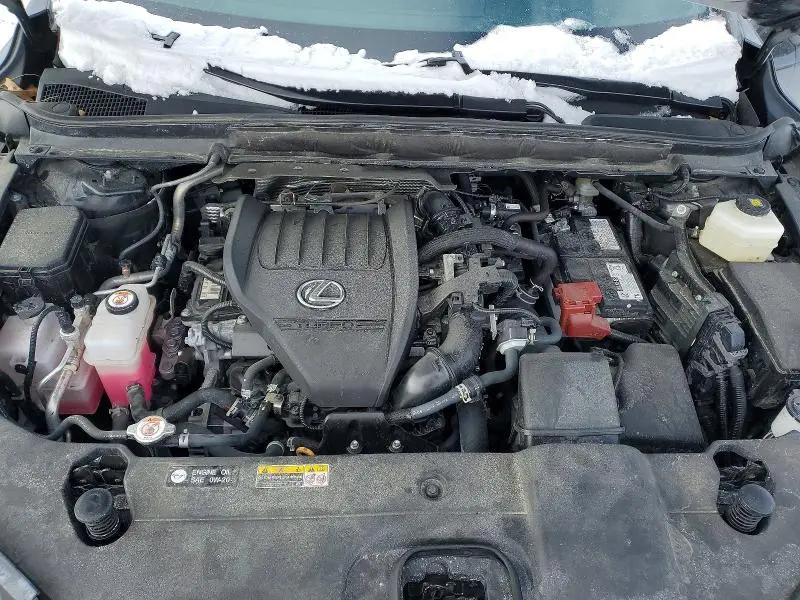2024 LEXUS RX 350 BASE  
