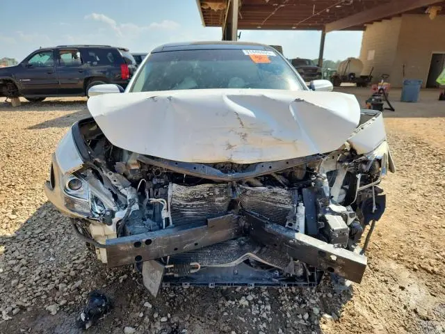 2010 NISSAN MAXIMA S  