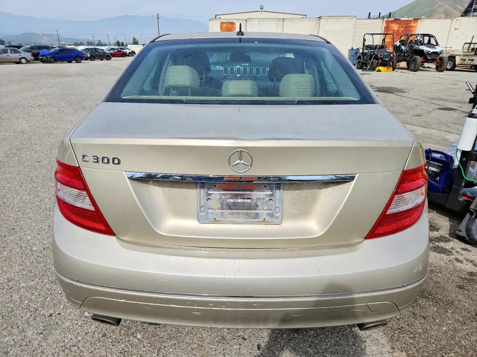 2010 MERCEDES-BENZ C 300  