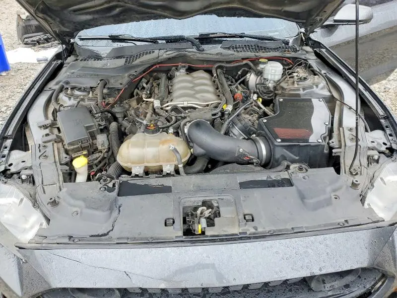 2019 FORD MUSTANG GT  