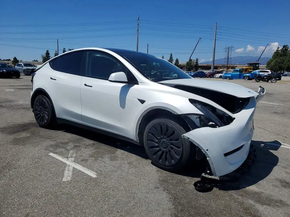 2021 TESLA MODEL Y   