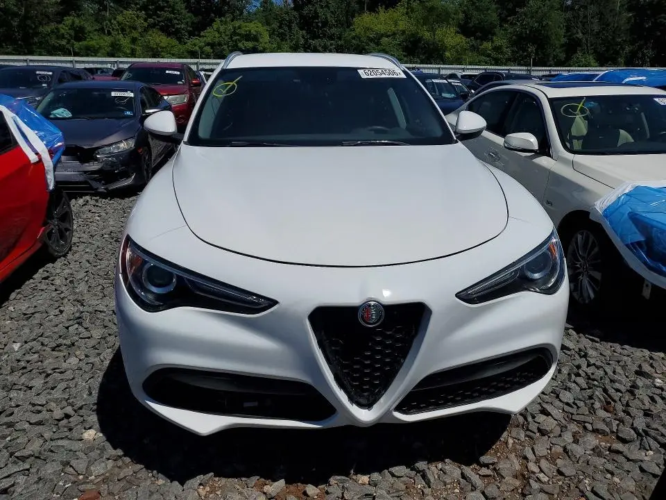 2019 ALFA ROMEO STELVIO   