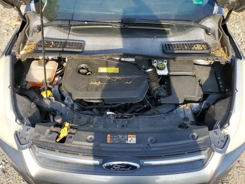 2014 FORD ESCAPE SE  