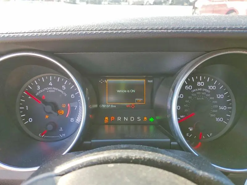 2019 FORD MUSTANG   