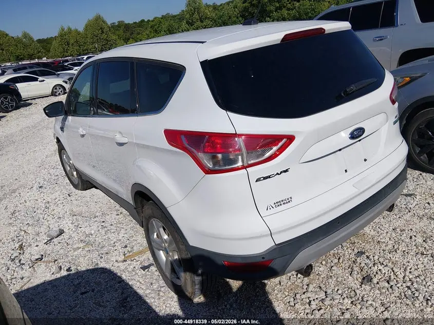 2013 FORD ESCAPE SE