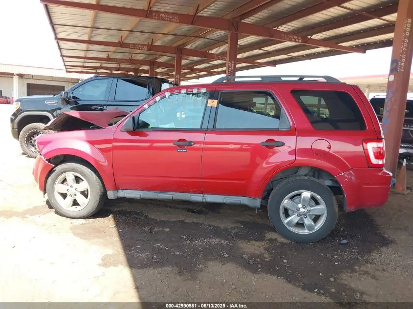 2010 FORD ESCAPE XLT