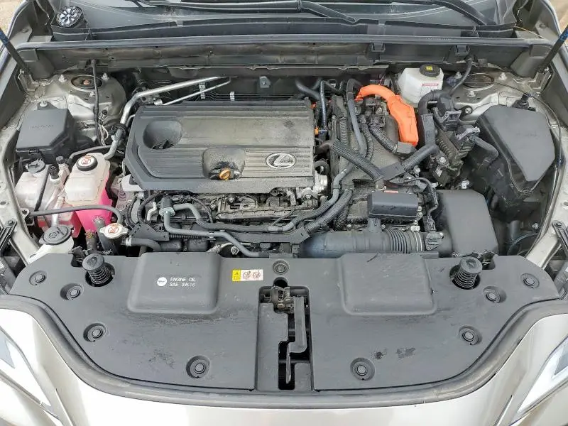 2024 LEXUS NX 350H PREMIUM  