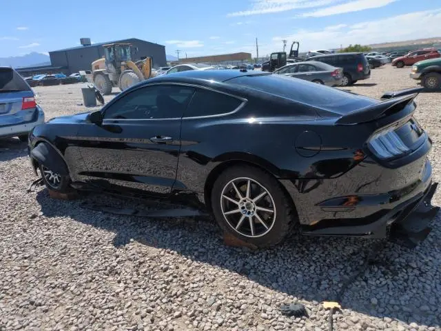 2019 FORD MUSTANG   