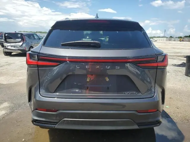 2023 LEXUS NX 250  