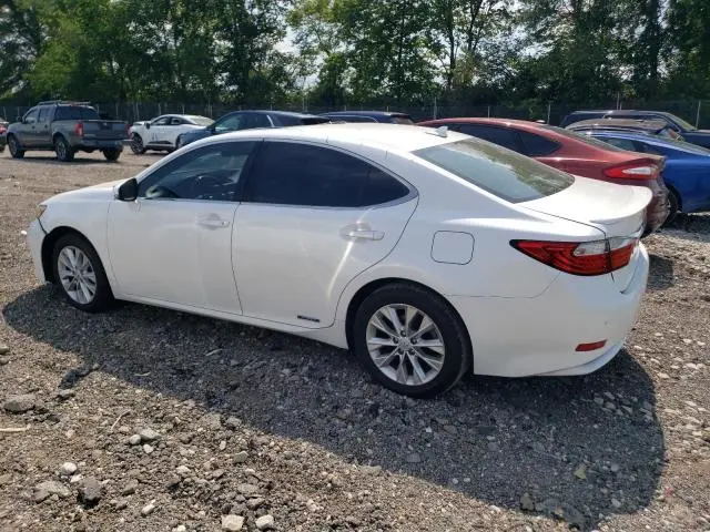 2013 LEXUS ES 300H  