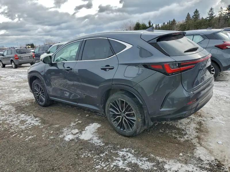 2022 LEXUS NX 350H  