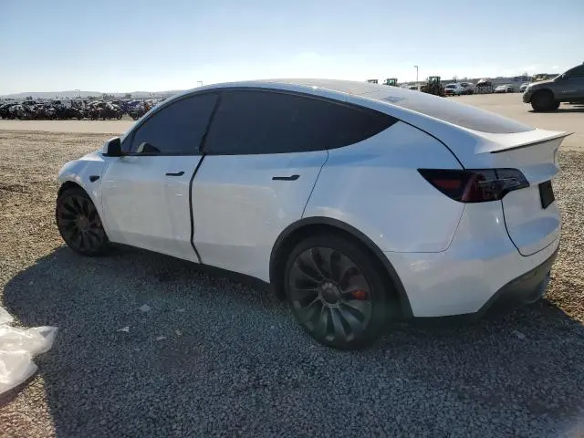 2024 TESLA MODEL Y   
