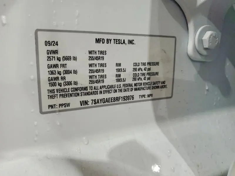 2024 TESLA MODEL Y   