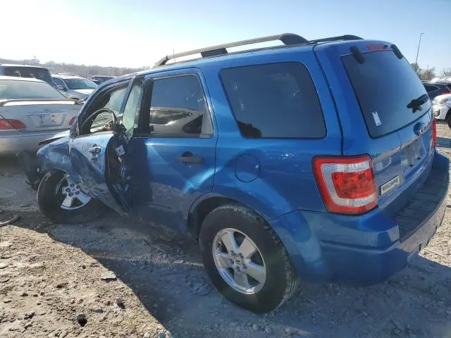 2011 FORD ESCAPE XLT  