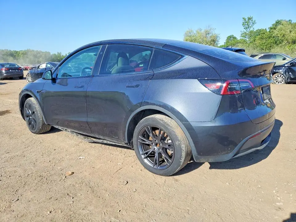 2025 TESLA MODEL Y   