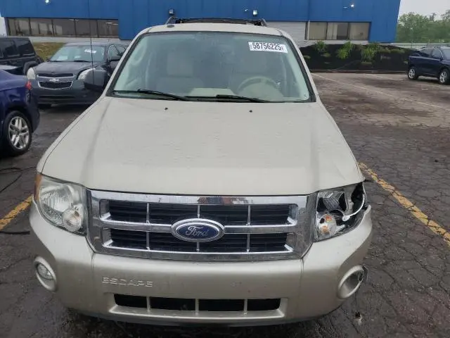 2011 FORD ESCAPE XLT  