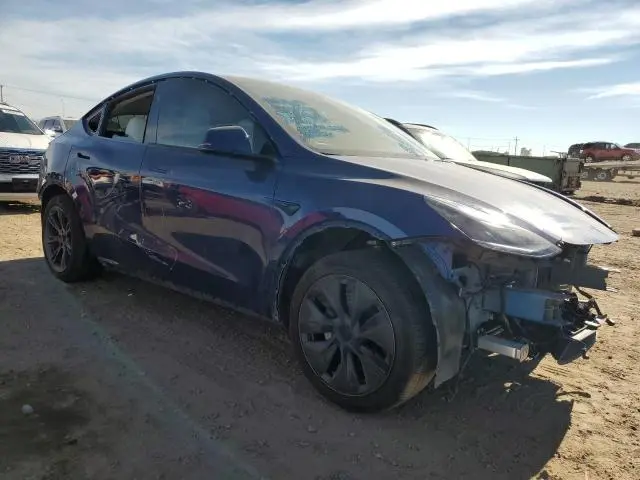 2025 TESLA MODEL Y   