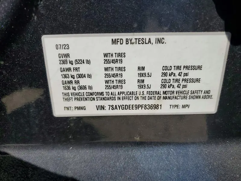 2023 TESLA MODEL Y   