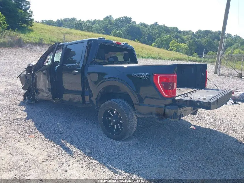 2023 FORD F-150 XL