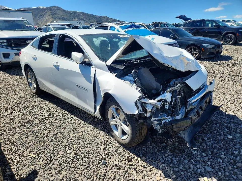 2024 CHEVROLET MALIBU LT  