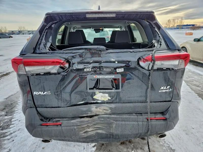 2019 TOYOTA RAV4 XLE  