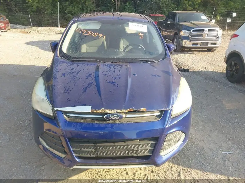 2013 FORD ESCAPE SE