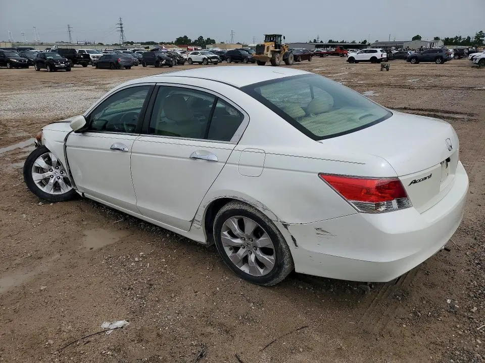 2010 HONDA ACCORD EXL  