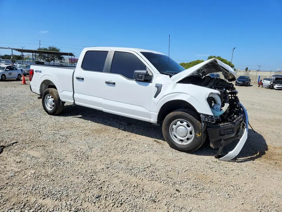 2024 FORD F150 XL  