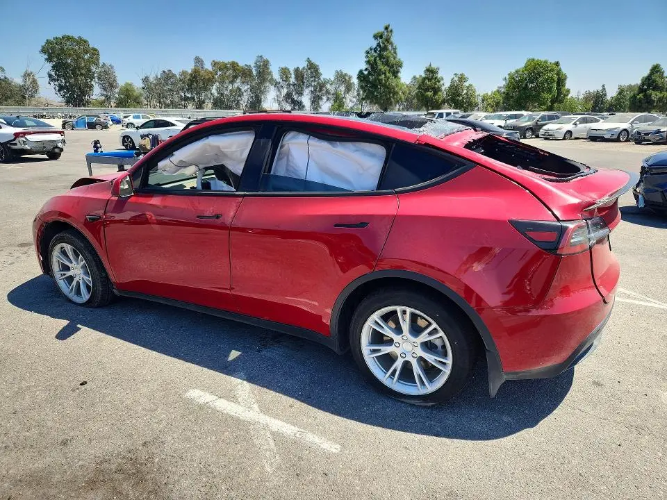 2021 TESLA MODEL Y   