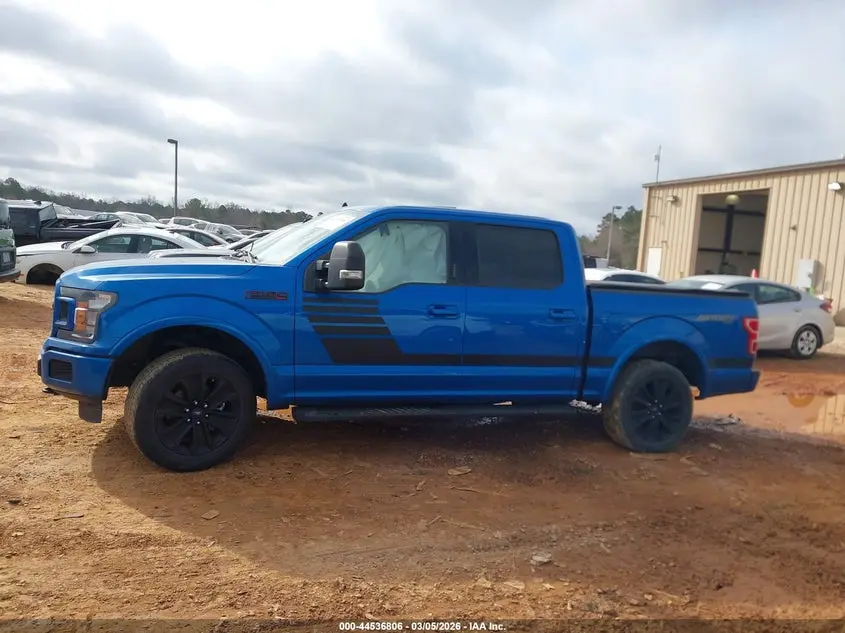 2019 FORD F-150 KING RANCH/LARIAT/PLATINUM/XL/XLT