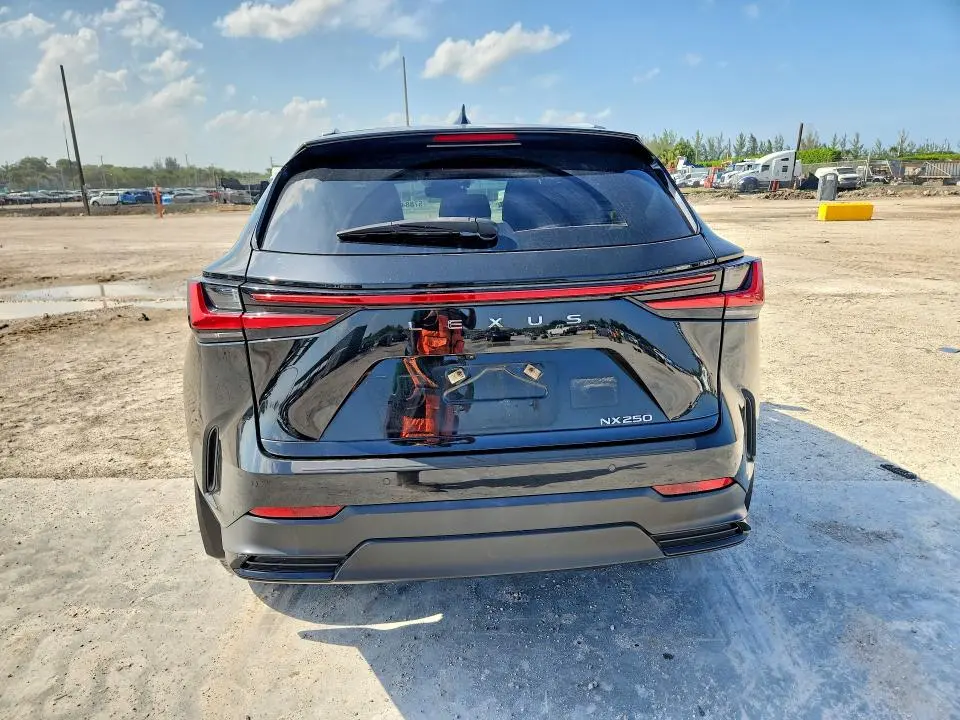 2024 LEXUS NX 250 PREMIUM  