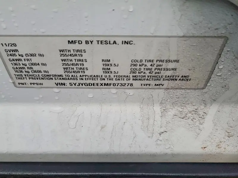 2021 TESLA MODEL Y   