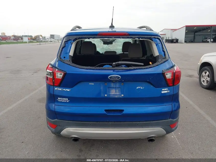 2019 FORD ESCAPE SEL