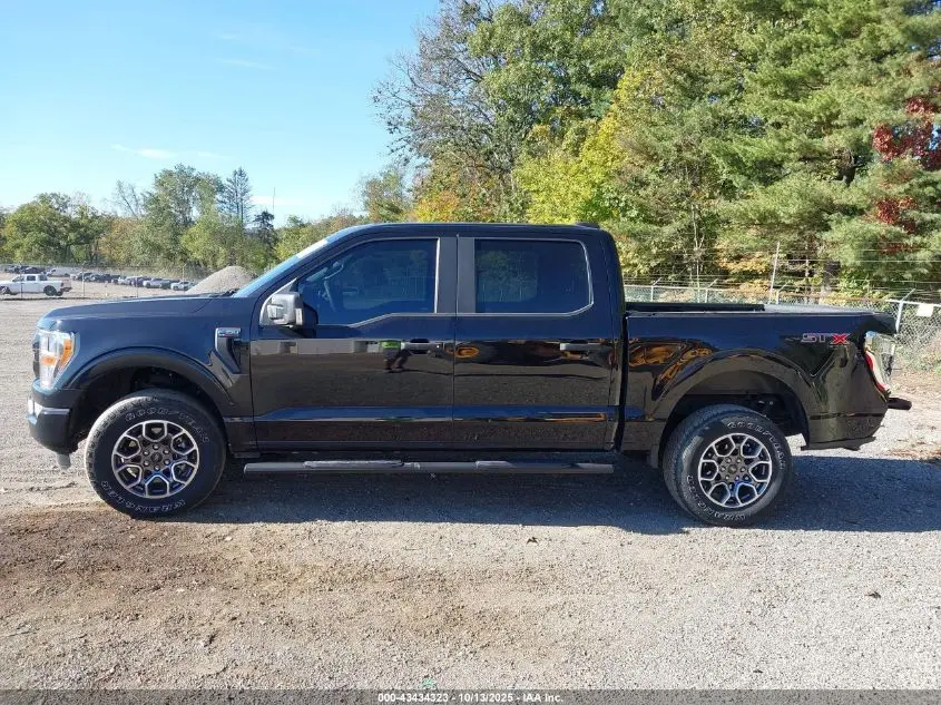 2021 FORD F-150 XL