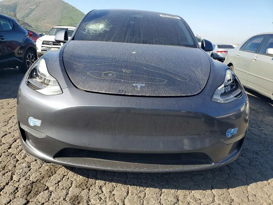 2021 TESLA MODEL Y   