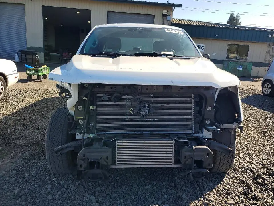 2024 FORD F150 XL  