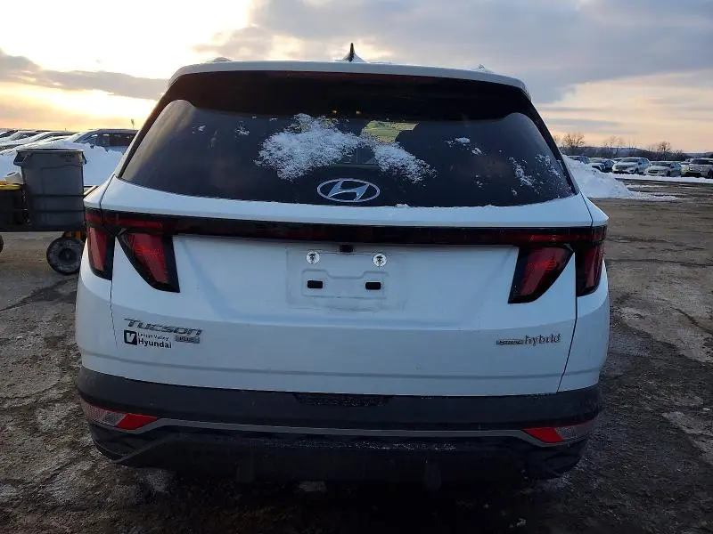 2024 HYUNDAI TUCSON BLUE  