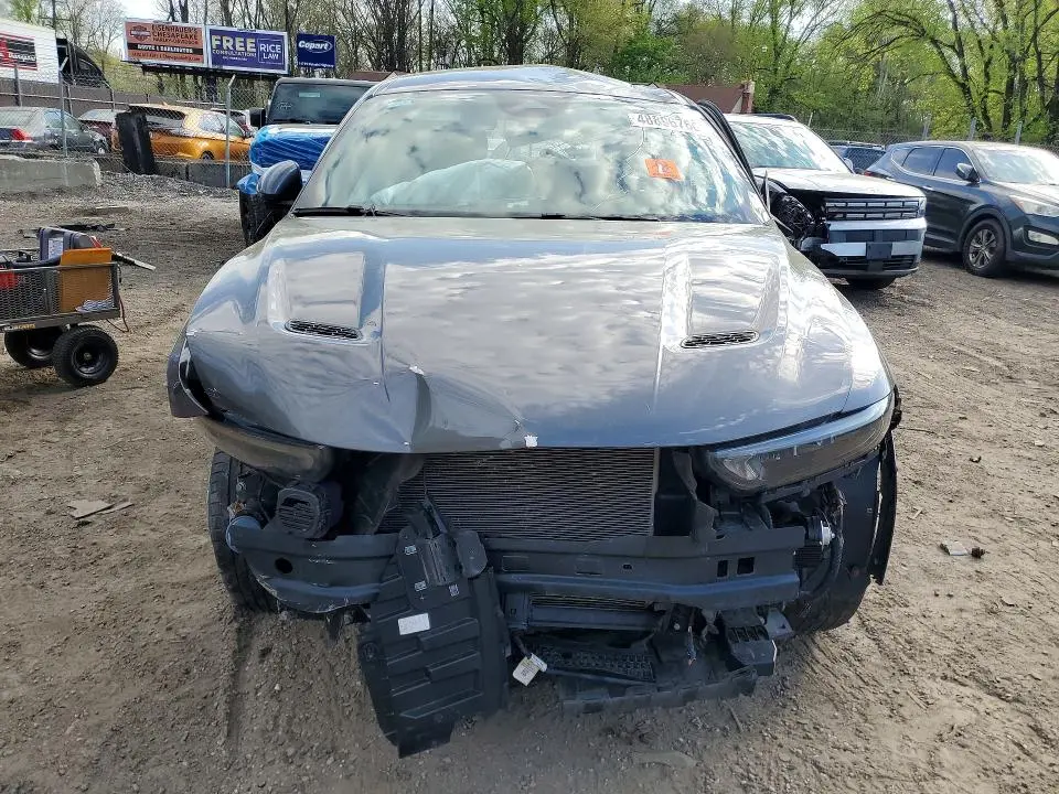 2024 DODGE HORNET R  