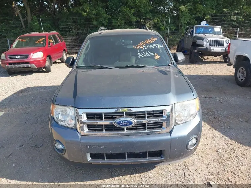 2011 FORD ESCAPE XLT