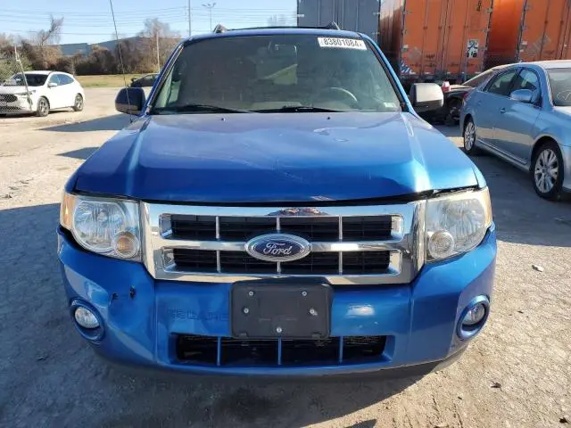 2011 FORD ESCAPE XLT  