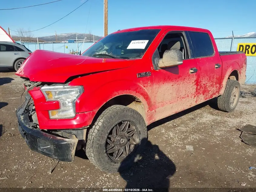 2015 FORD F-150 XLT