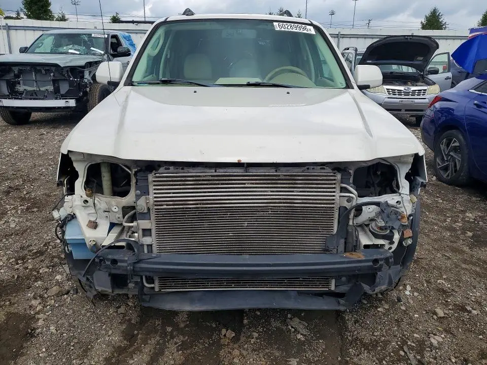 2010 FORD ESCAPE LIMITED  