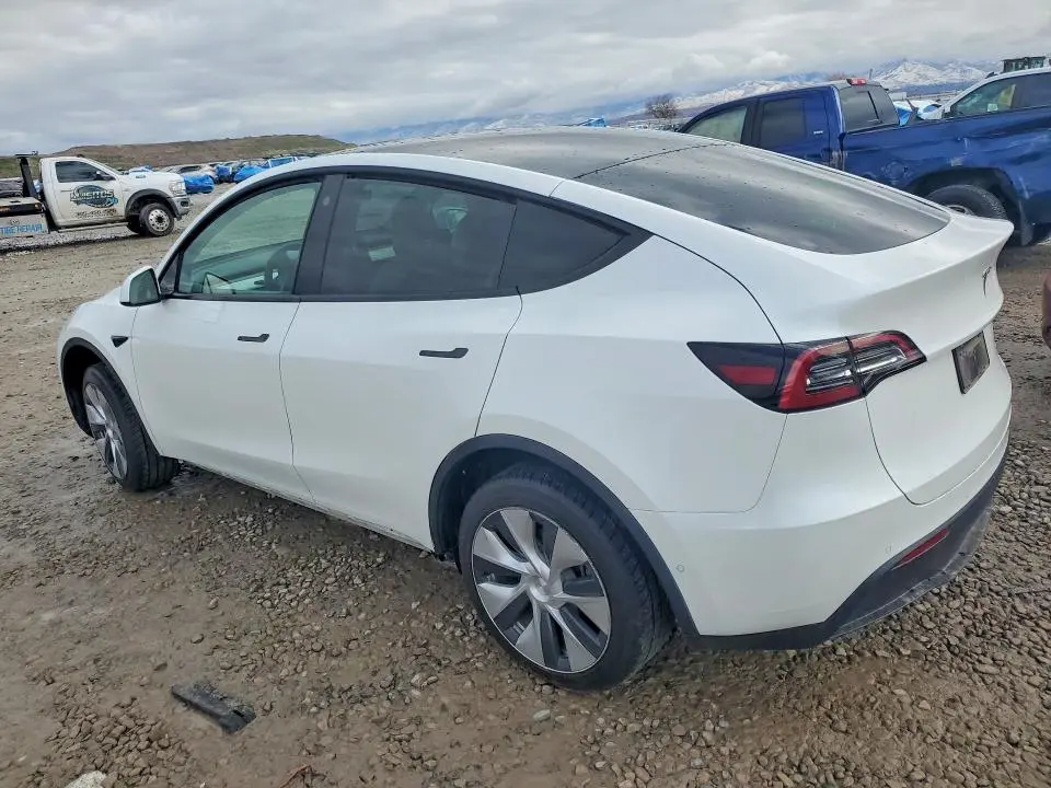 2021 TESLA MODEL Y   