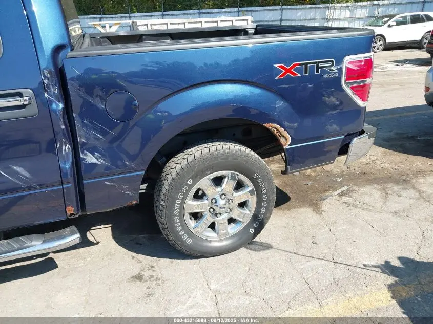 2014 FORD F-150 XLT