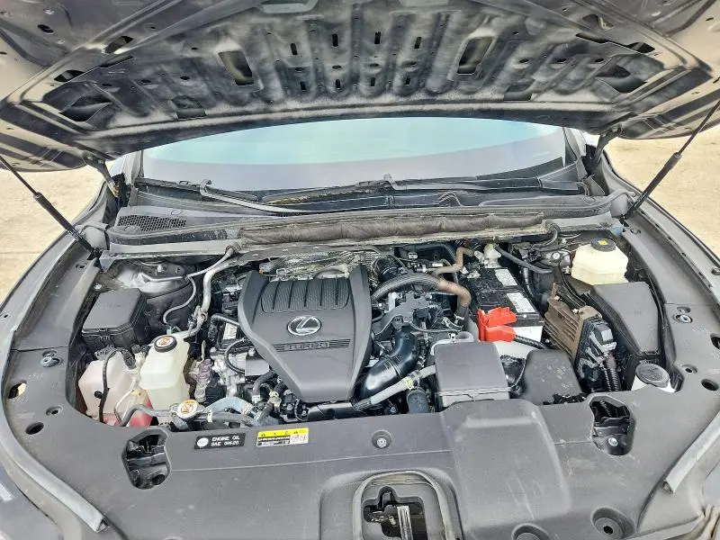 2024 LEXUS RX 350 BASE  