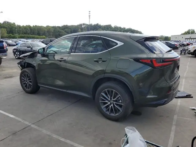 2024 LEXUS NX 350 BASE  